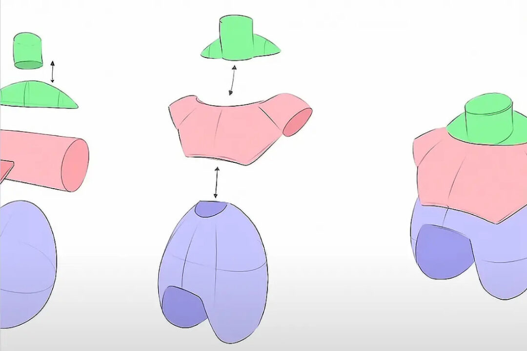 artwod anatomy 2