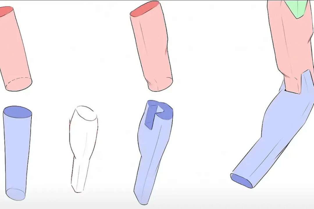 artwod anatomy 3