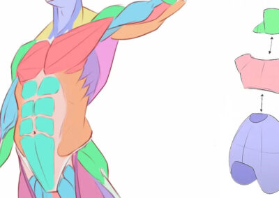 5 Steps to Drawing Anatomy on Easy Mode: A Beginner’s Guide