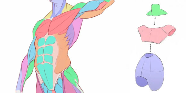 artwod anatomy feature image